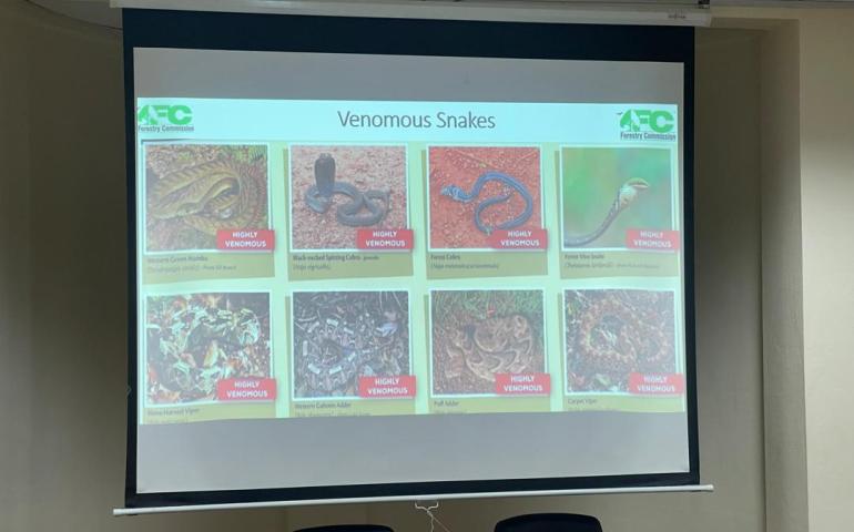 Wildlife Division of the Forestry Commission of Ghana's presentation