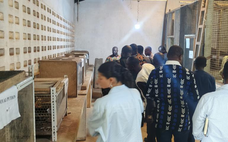 Visitiation to the botanical garden UCC